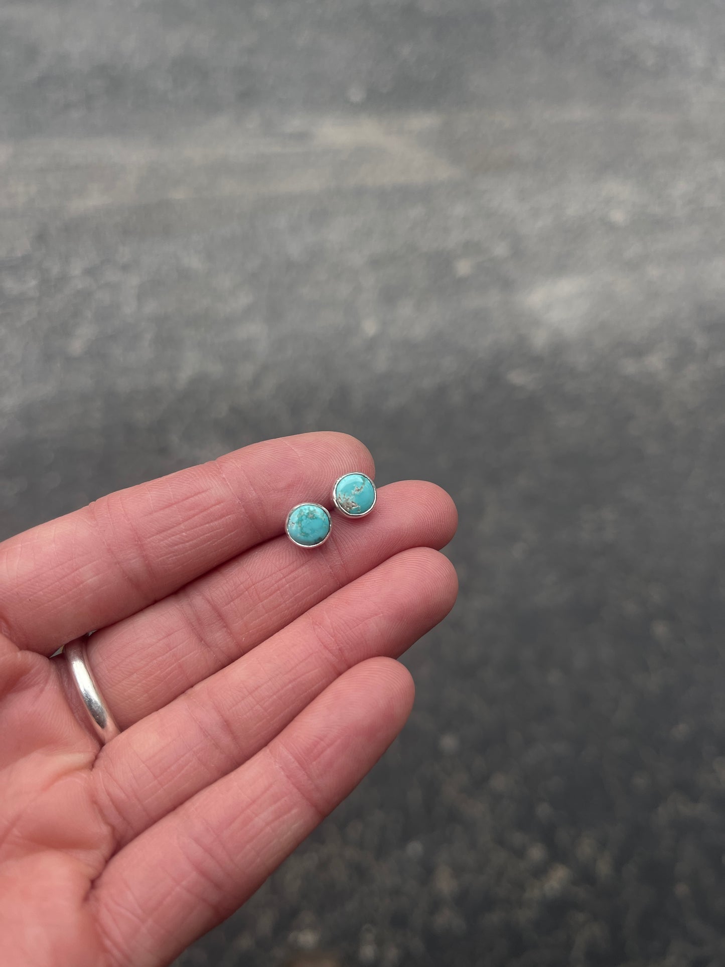 Fox Turquoise Studs