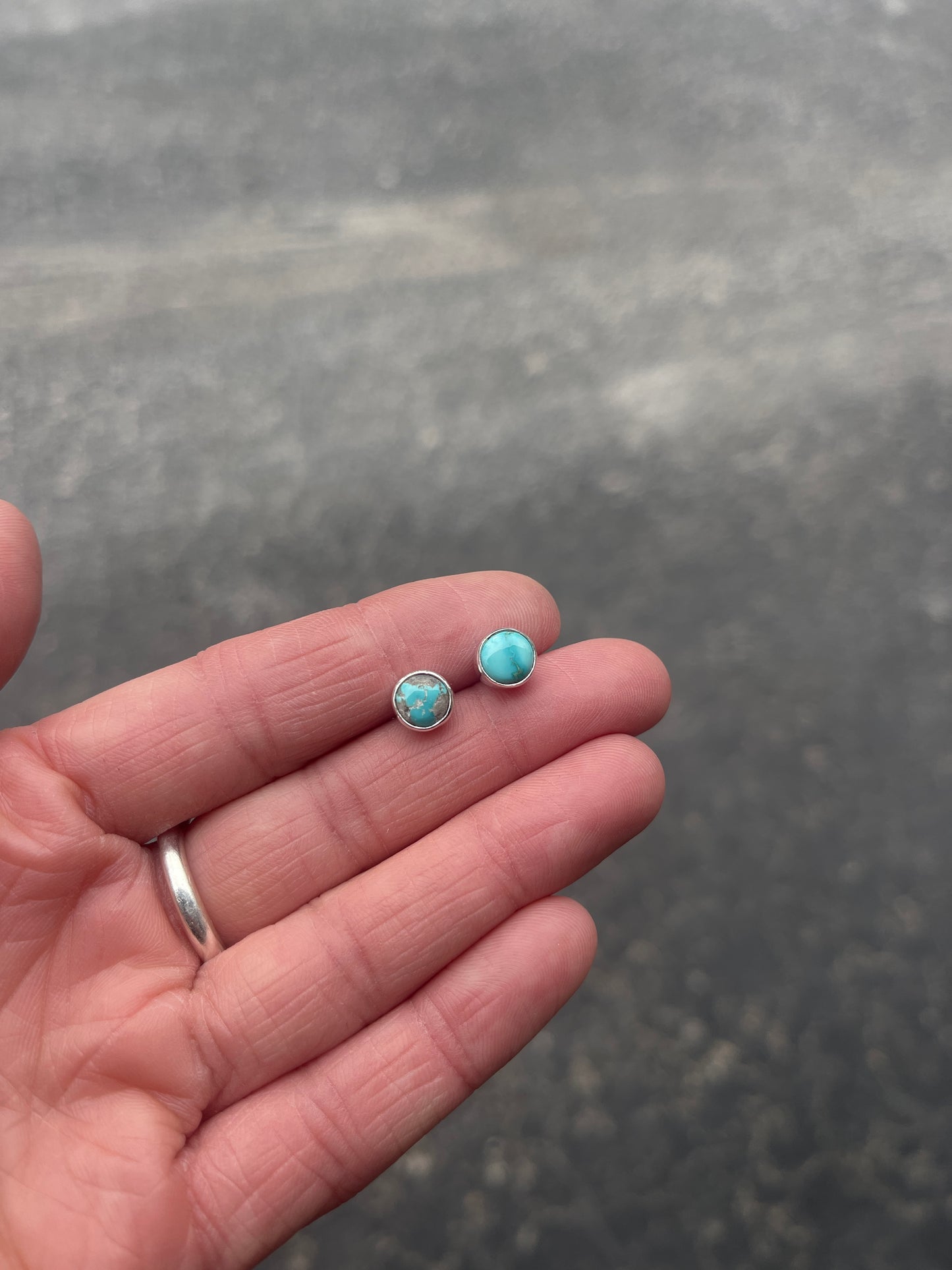 Fox Turquoise Studs