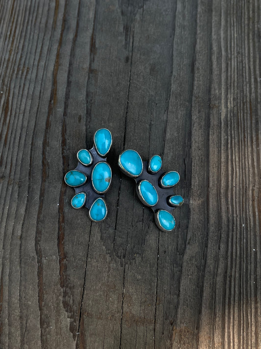 6 Stone Sonoran Earring Set