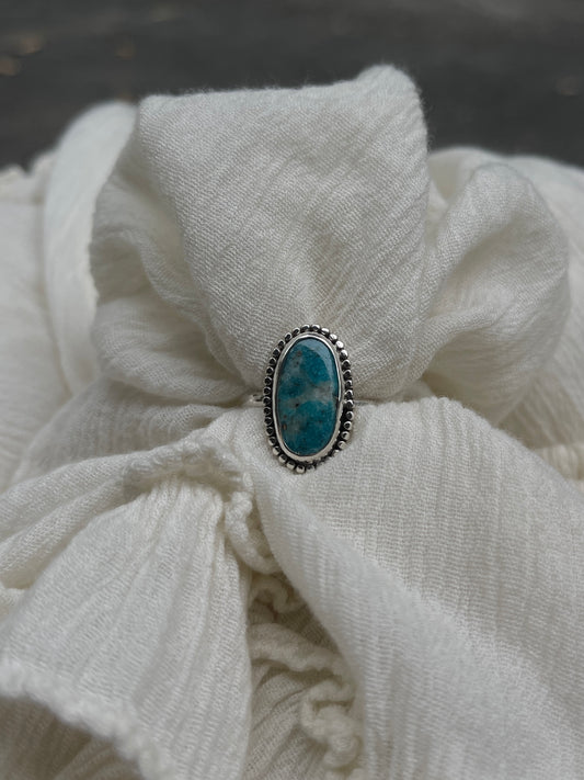 Sonoran Ring | Size 10.5